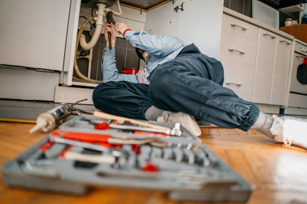 Best Affordable Plumbing Services  in Ives Estates, FL