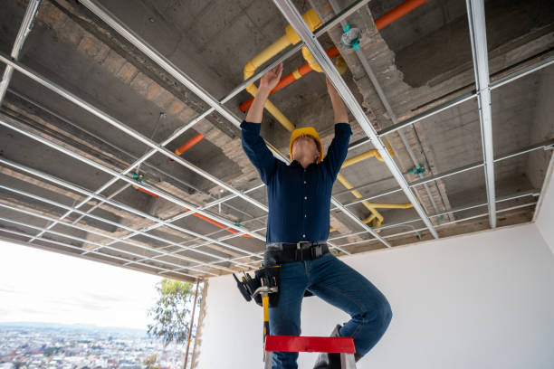 Best Sewer Line Repair  in Ives Estates, FL