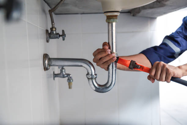 Best Local Plumber Services  in Ives Estates, FL