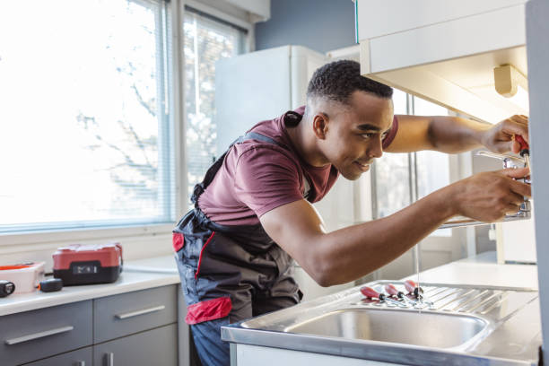 Best Plumbing Services Near Me  in Ives Estates, FL